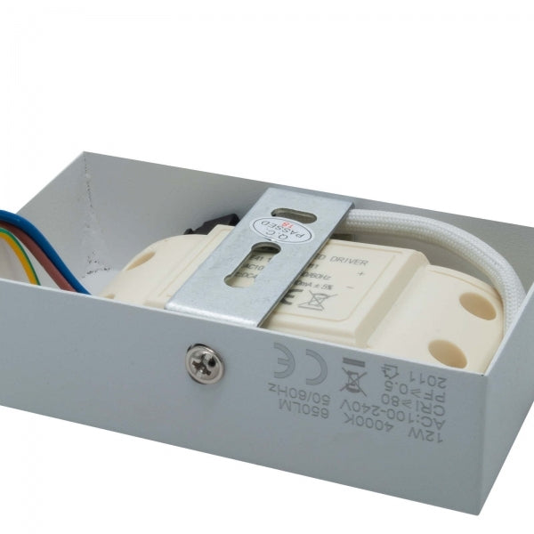 APPLIQUE OVALE LED 12W